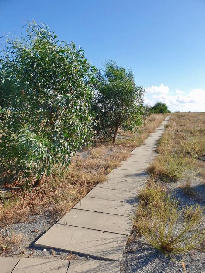 Vista Mare Su Tre Piani Con Giardino Villa Falerna Luaran gambar
